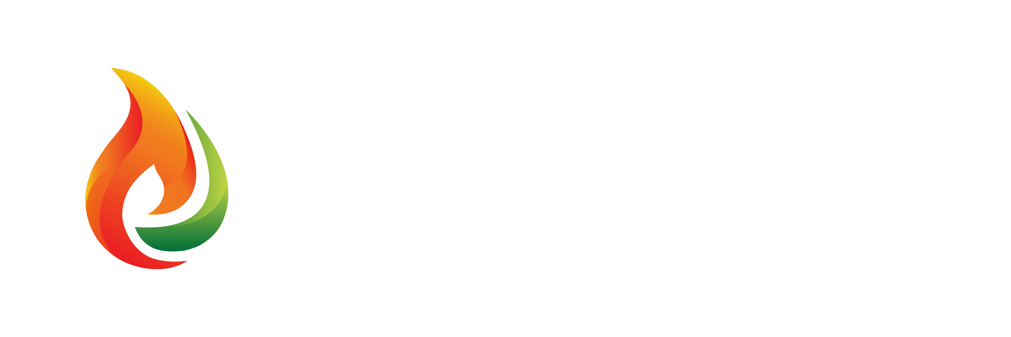 Accredited Fire Solutions logo